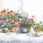 01_geraniums