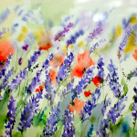 02_lavandes et coquelicots