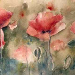 03_coquelicots_dans_les_verts