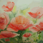 05_coquelicots
