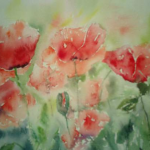 06_coquelicots_dans_le_flou