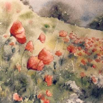 07_coquelicots_sous_lorage