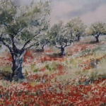 Oliviers aux coquelicots