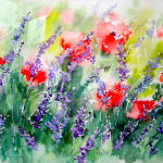 08_lavandes et coquelicots
