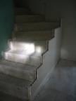 IMG_4785.JPG