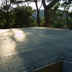 S6001912.JPG