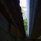 S6001924.JPG