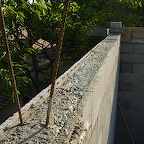 S6001936.JPG
