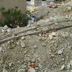 S6001950.JPG