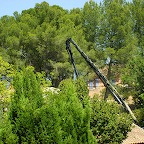 S6002007.JPG