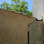 S6002009.JPG
