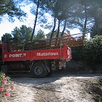 IMG_3847.JPG