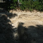 IMG_3856.JPG