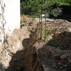 IMG_3868.JPG