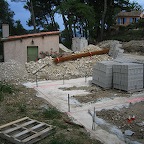 IMG_3950.JPG