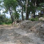 IMG_3645.JPG