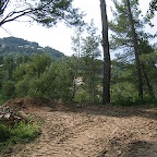 IMG_3646.JPG