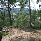 IMG_3649.JPG