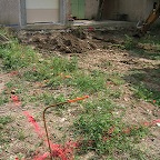 IMG_3653.JPG