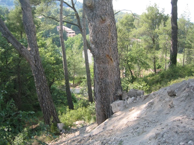 Loading Image