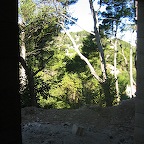 IMG_4574.JPG
