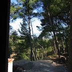 IMG_4584.JPG