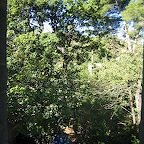 IMG_4593.JPG
