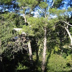 IMG_4594.JPG