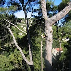 IMG_4595.JPG