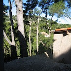 IMG_4601.JPG