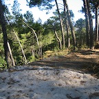 IMG_4602.JPG